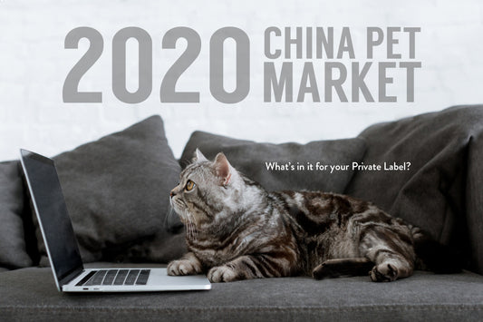 2020 China Pet Market: What's In It for Your Private Label?