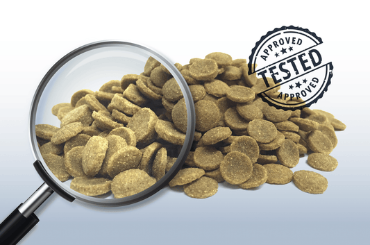 What Regulatory Compliance Does Your Private Label Need in China?
