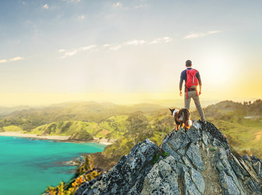 Millennials & Trends: What they mean for your brand