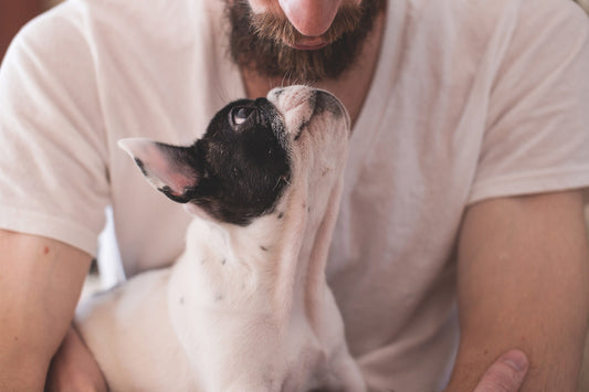 The Era of Ultra-Premium Pet Food