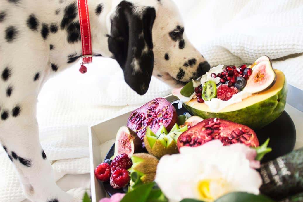 8 Fruits and Herbs You Should Consider Including in Your Private Label Pet Food