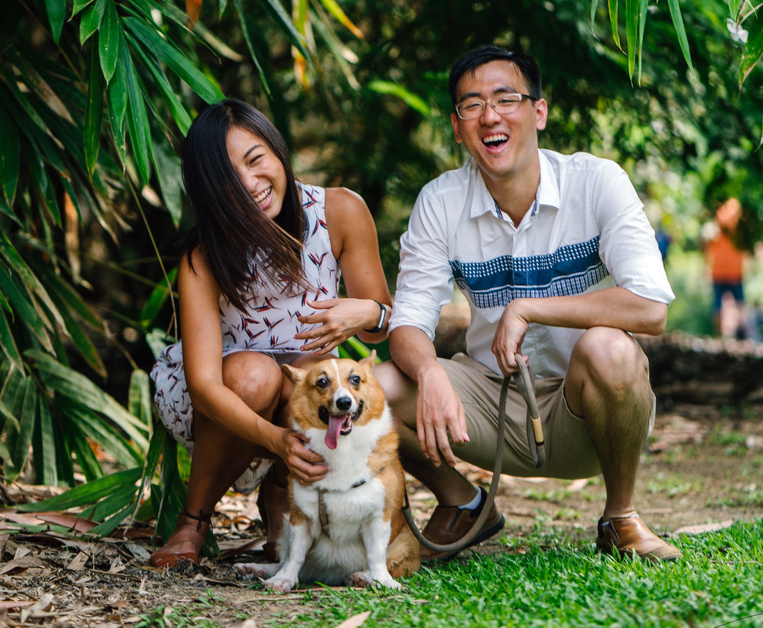 China’s Potential for Your Pet Food Business