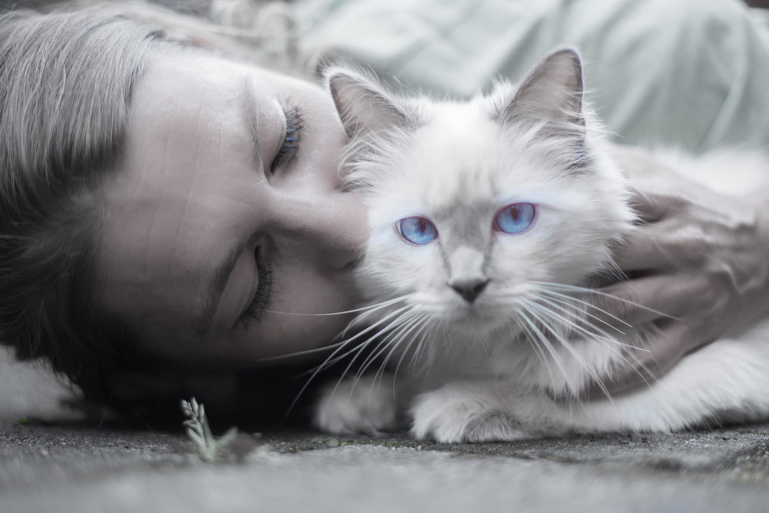 Pet-Related Spending: What it means for your brand