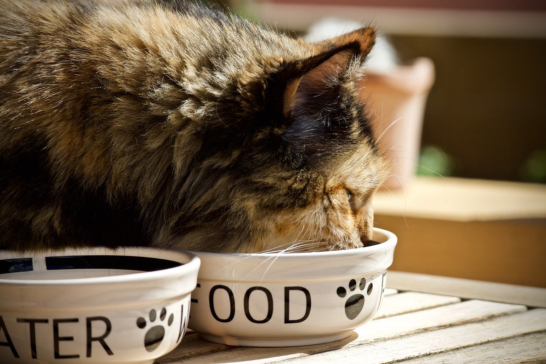 Key Nutritional Parameters And How They Influence Food Safety