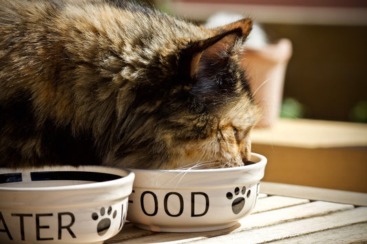 Key Nutritional Parameters And How They Influence Food Safety