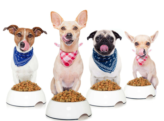 The Need for PL Pet Foods to Address DCM