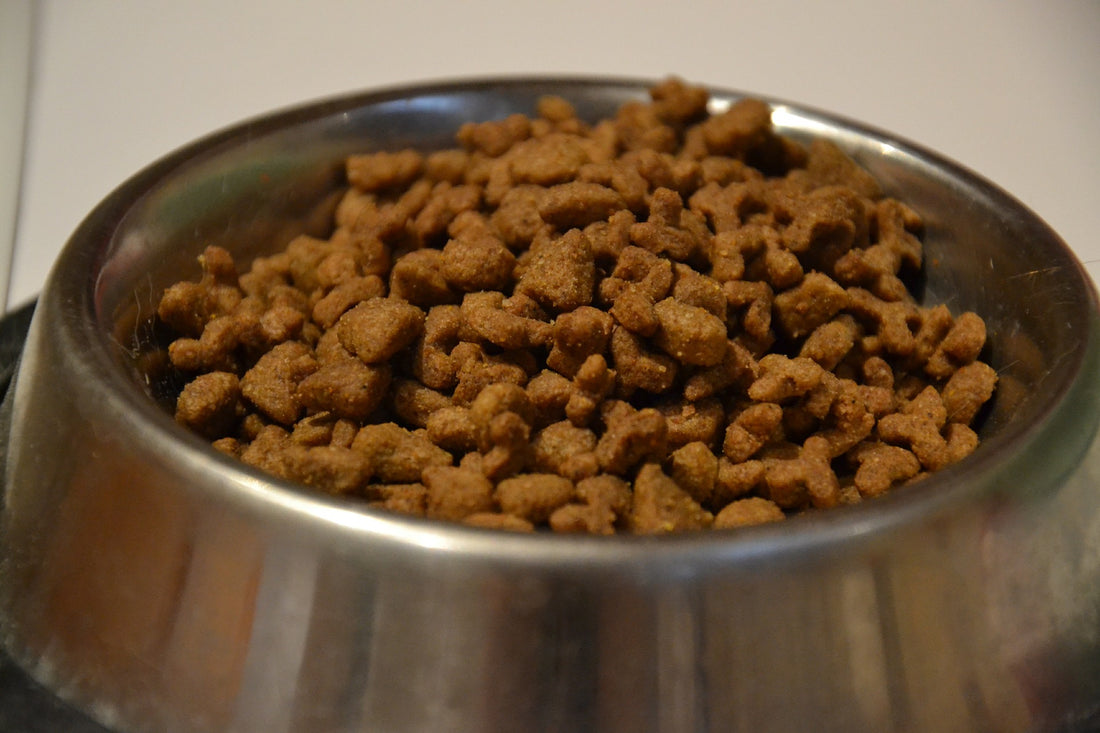 Pet Food and Sustainability
