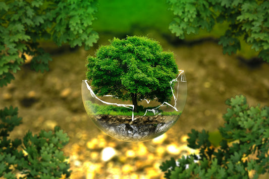 How 'green' can pet food get?