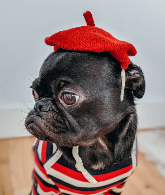 Pet Anthropomorphism and Brands: Reshaping Pet Food