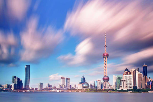 Chinese Pet Food Market is Ready for the World